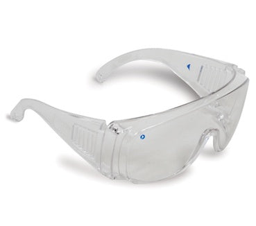 ProChoice - 3000 - Visitors Safety Glasses